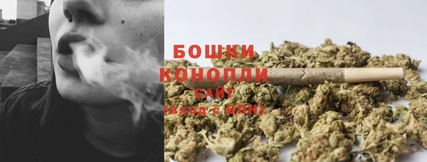 ПСИЛОЦИБИНОВЫЕ ГРИБЫ Дмитровск