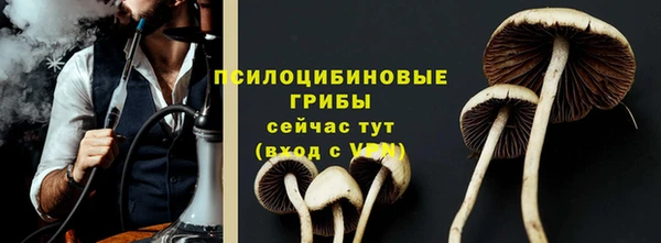 ПСИЛОЦИБИНОВЫЕ ГРИБЫ Дмитровск