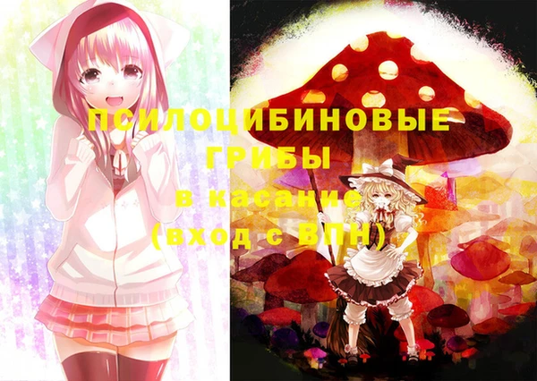 ПСИЛОЦИБИНОВЫЕ ГРИБЫ Дмитровск