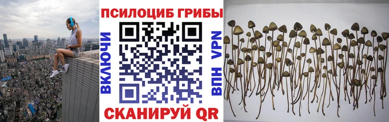 Галлюциногенные грибы GOLDEN TEACHER  продажа наркотиков  блэк спрут зеркало  Разумное 